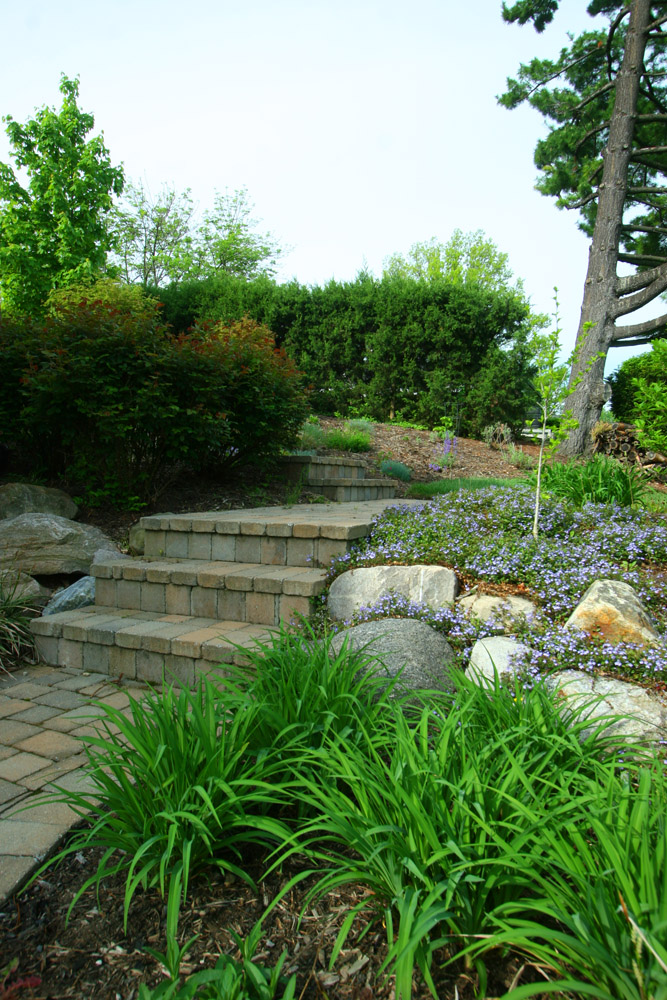 Portfolio Joe's Landscaping